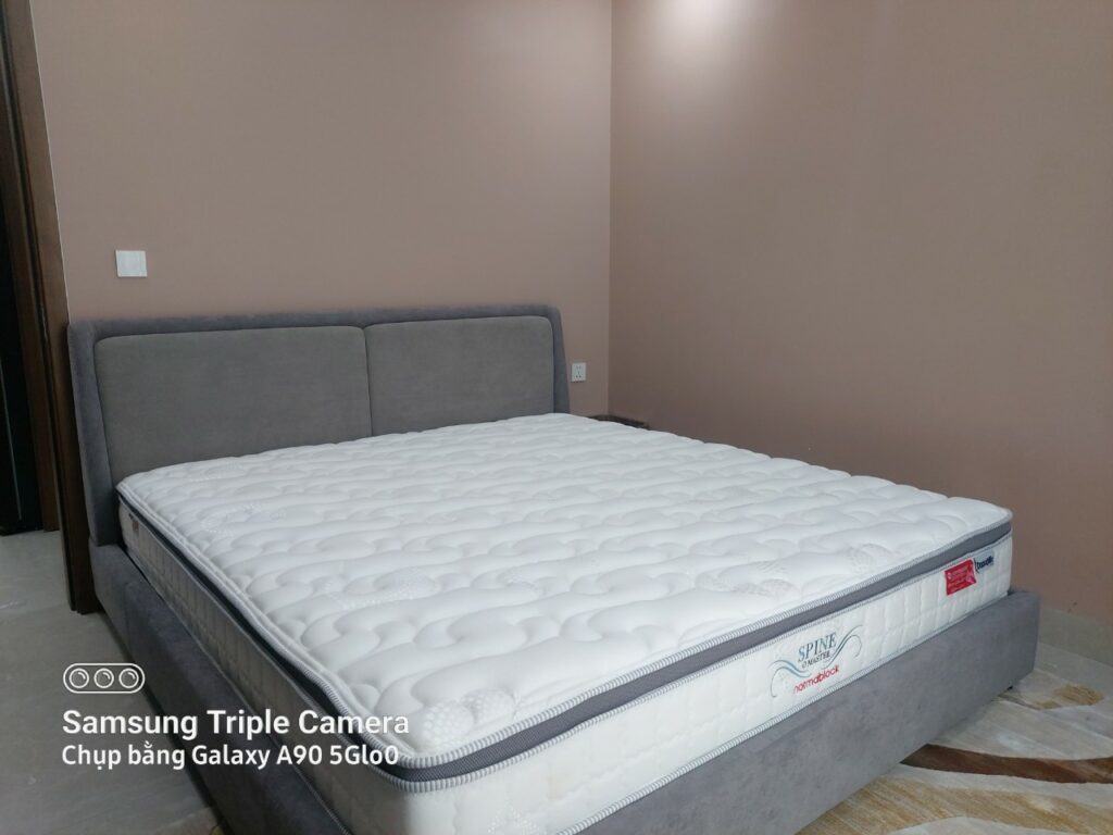 Đệm Lò Xo Dunlopillo Spine O Master