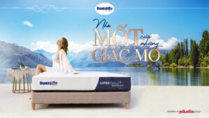 Tương Lai Ngành Khoa Học Giấc Ngủ