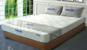 Cách Phân Biệt Đệm Dunlopillo