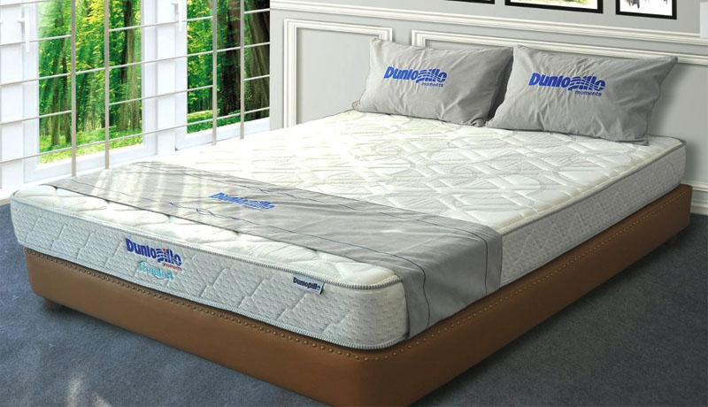 Cách Phân Biệt Đệm Dunlopillo
