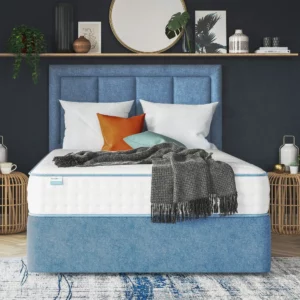 Đại Lý Nệm Dunlopillo Hà Nội