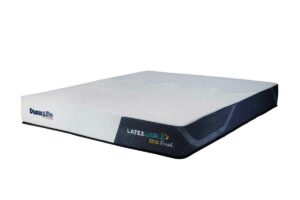 Cách Phân Biệt Đệm Dunlopillo Chính Hãng