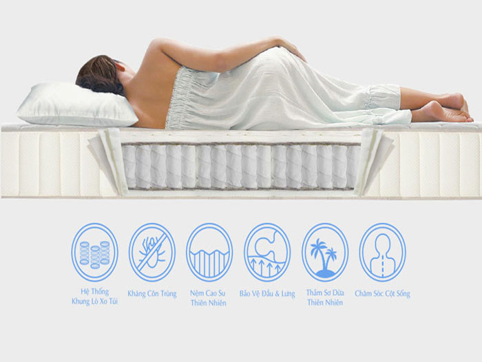 nệm lò xo túi độc lập là gì