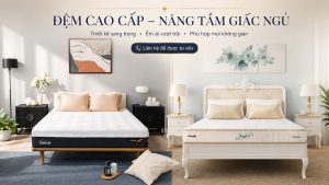 So Sánh Nệm Dunlopillo Và Tempur